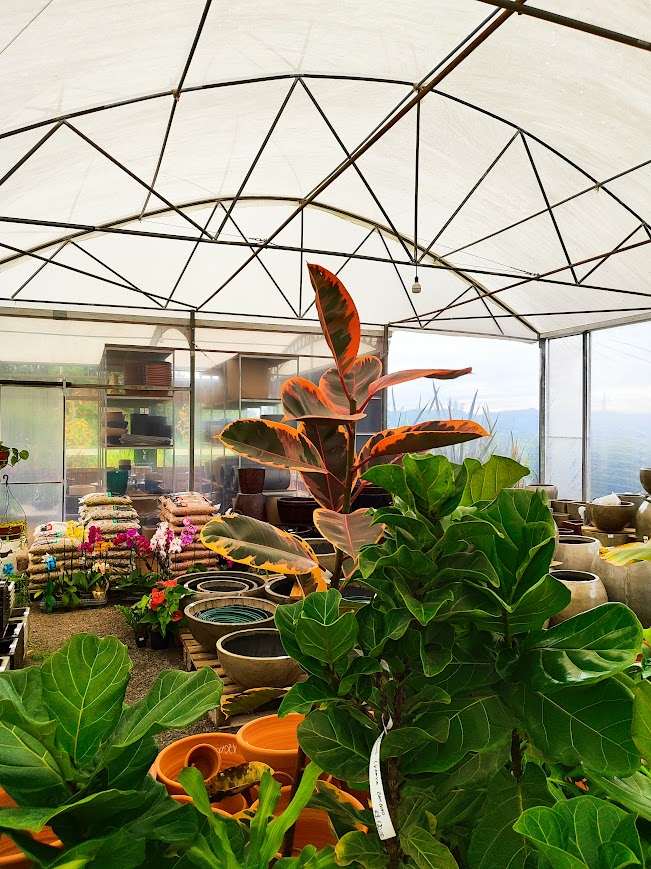 Insumos para jardim Kultive.