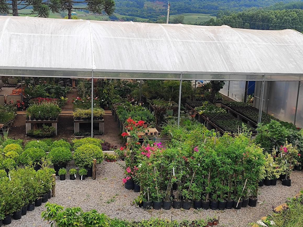 Plantas para jardim Kultive.